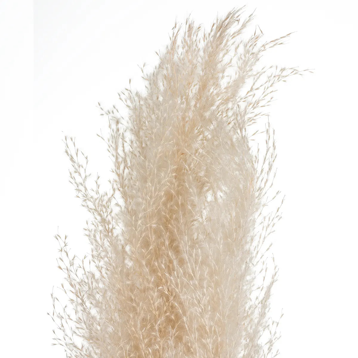 Изкуствено растение atmosphera Natural Pampa, 110см, 3бр, Бежов