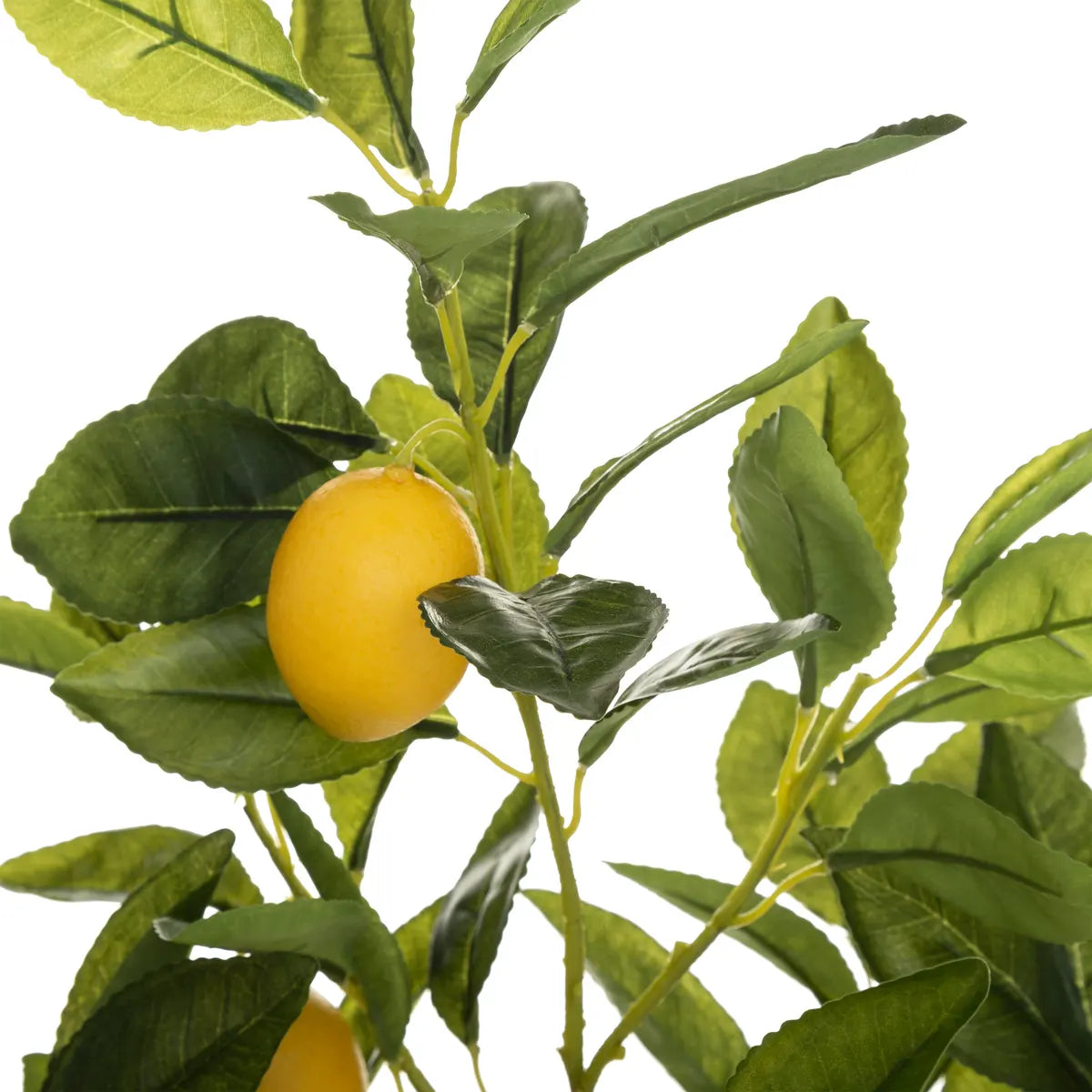 Изкуствено растение atmosphera Lemon Tree, 70 cm