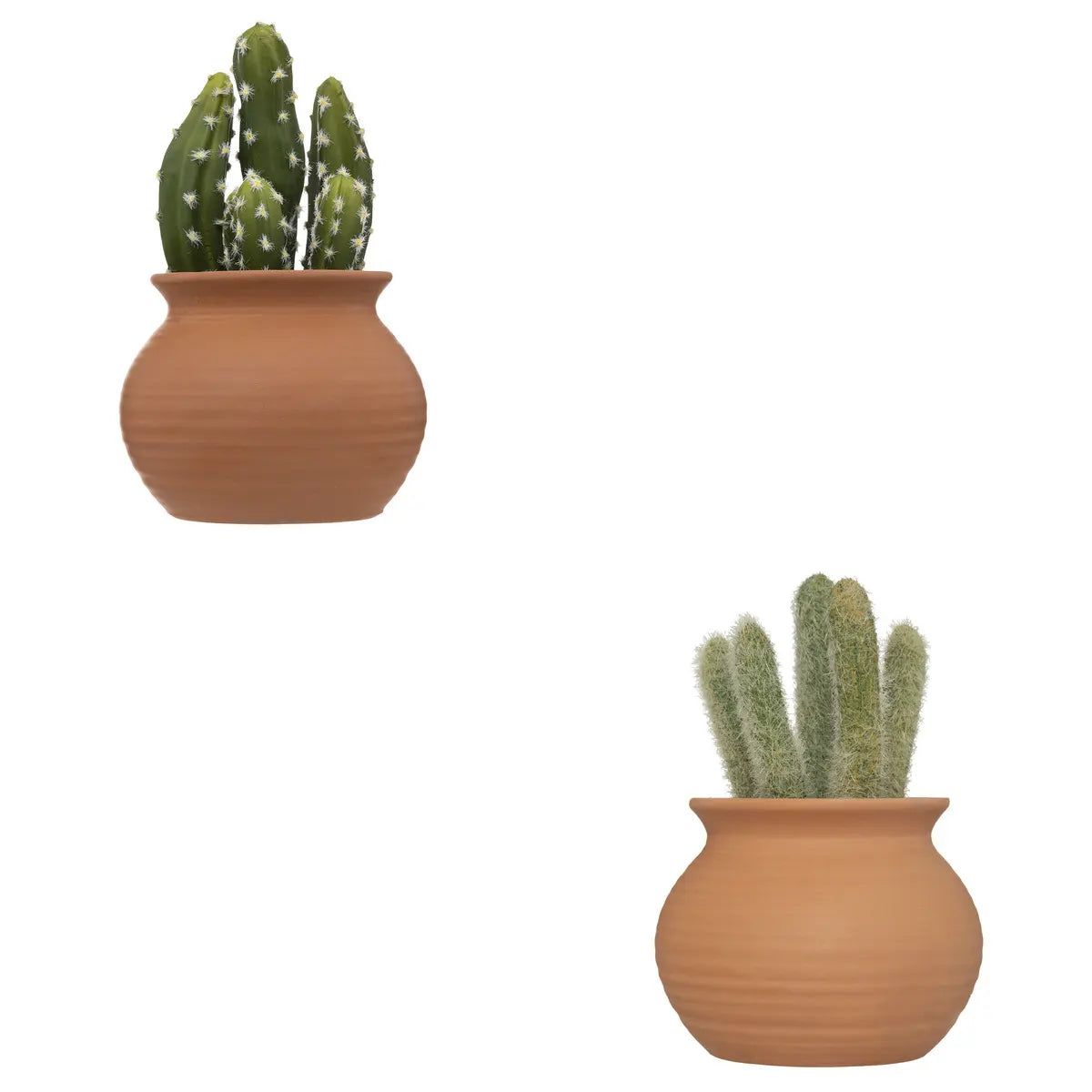 Изкуствено растение atmosphera Cactus Ali, 16.5 cm, Различни видове