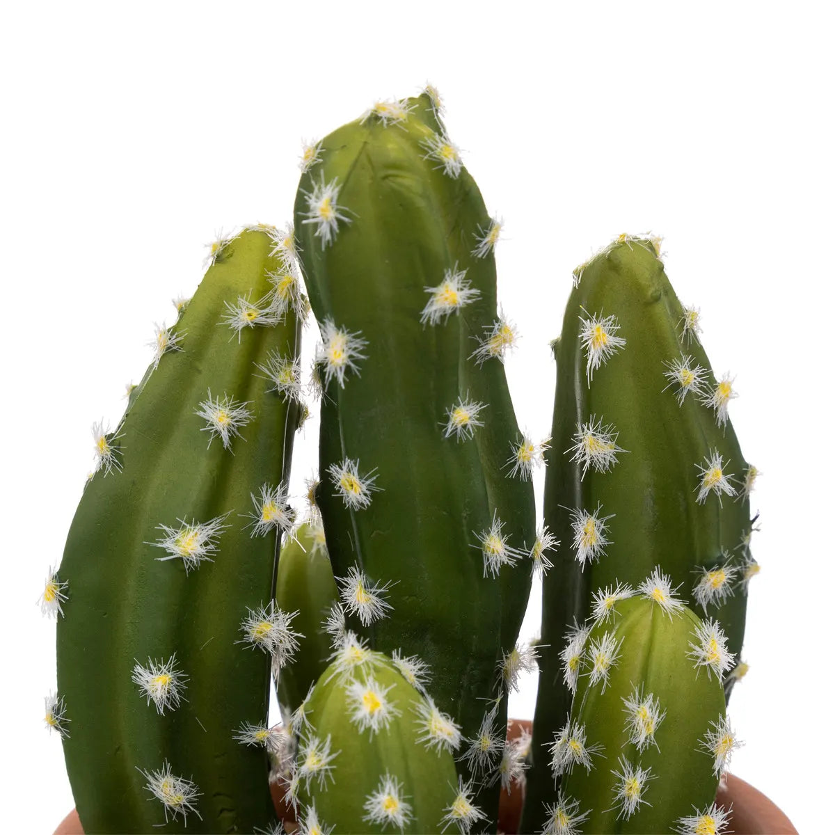Изкуствено растение atmosphera Cactus Ali, 16.5 cm, Различни видове