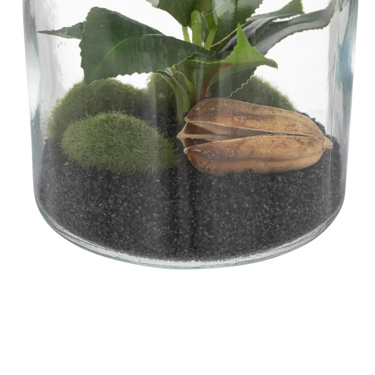 Изкуствено растение atmosphera Botanic Terrarium, 19.5 cm