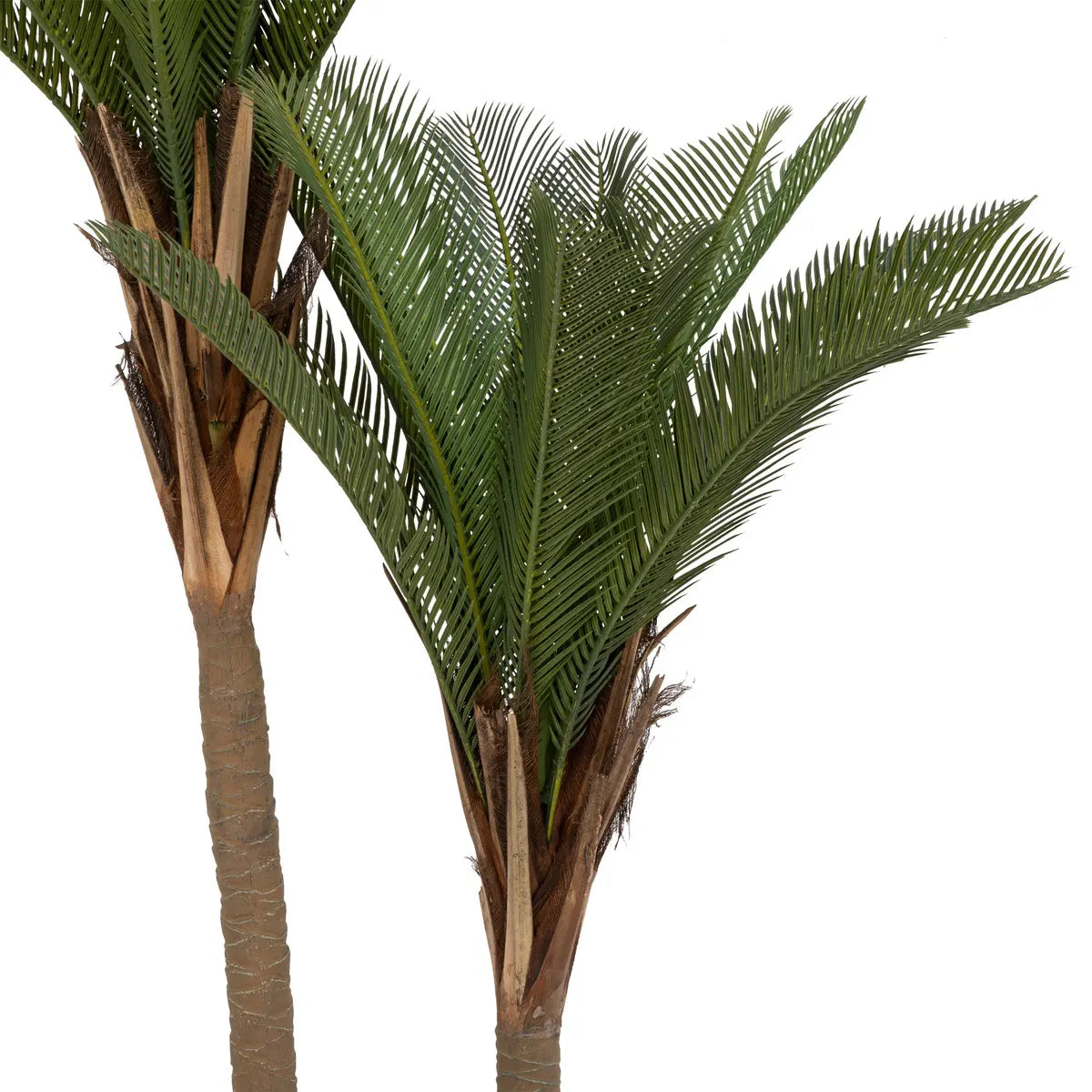 Изкуствено растение atmosphera Tropical Boudoir Palm Tree, 180 cm