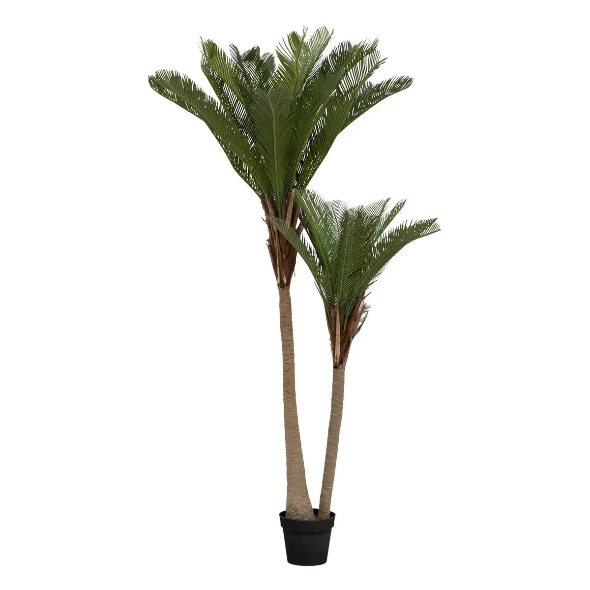 Изкуствено растение atmosphera Tropical Boudoir Palm Tree, 180 cm