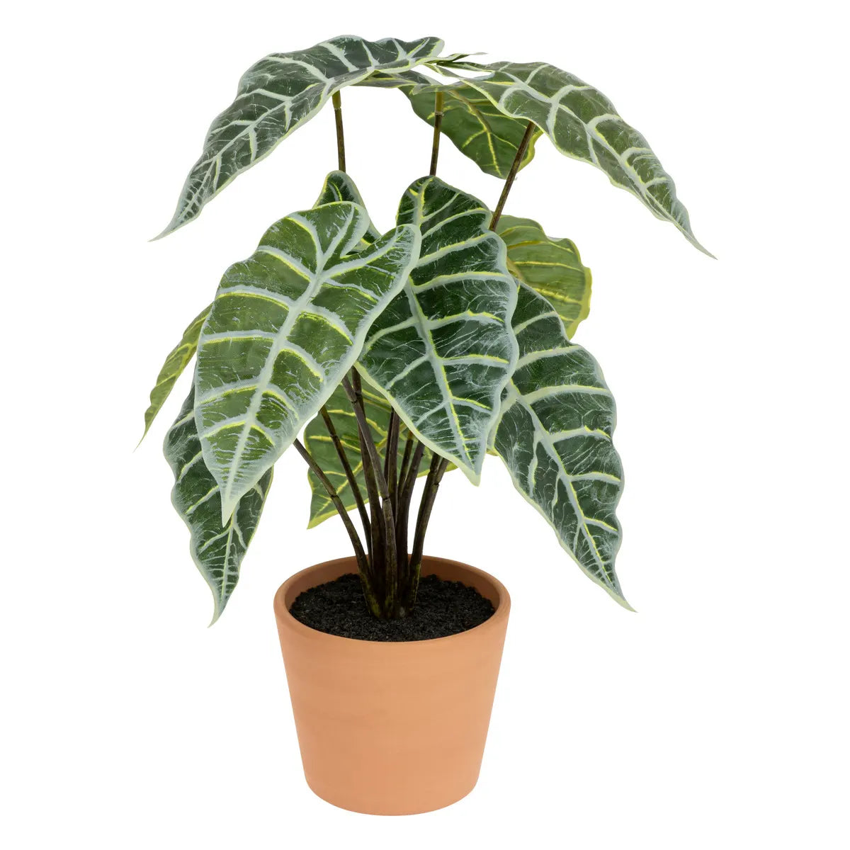 Изкуствено растение atmosphera Soleya Alocasia, 43 cm