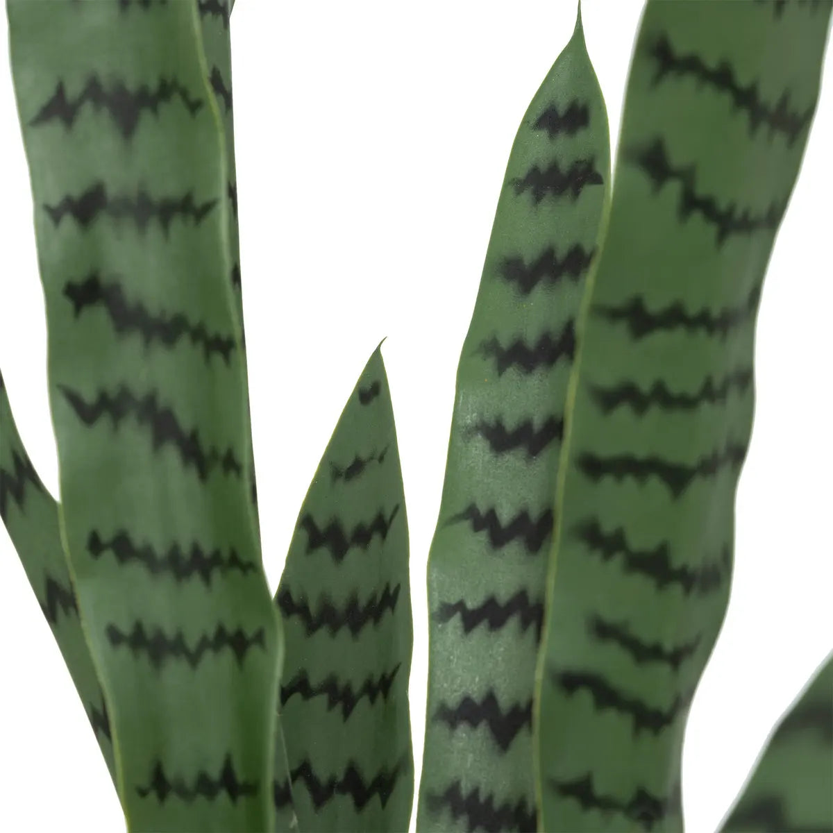 Изкуствено растение atmosphera Sansevieria Toby, 90 cm