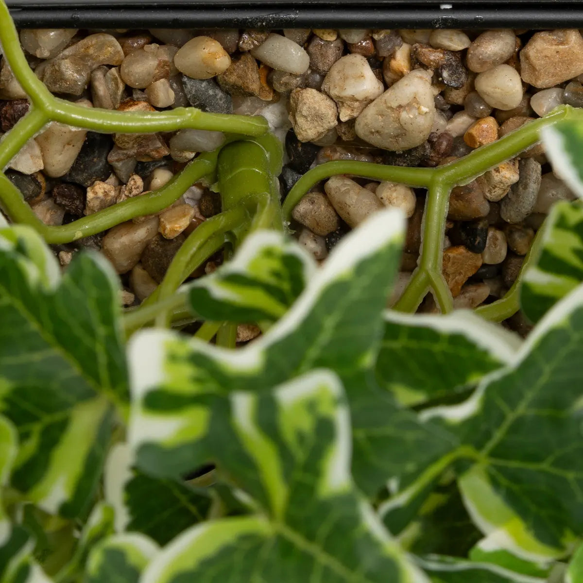 Изкуствено растение atmosphera Curt Hanging, 35 cm