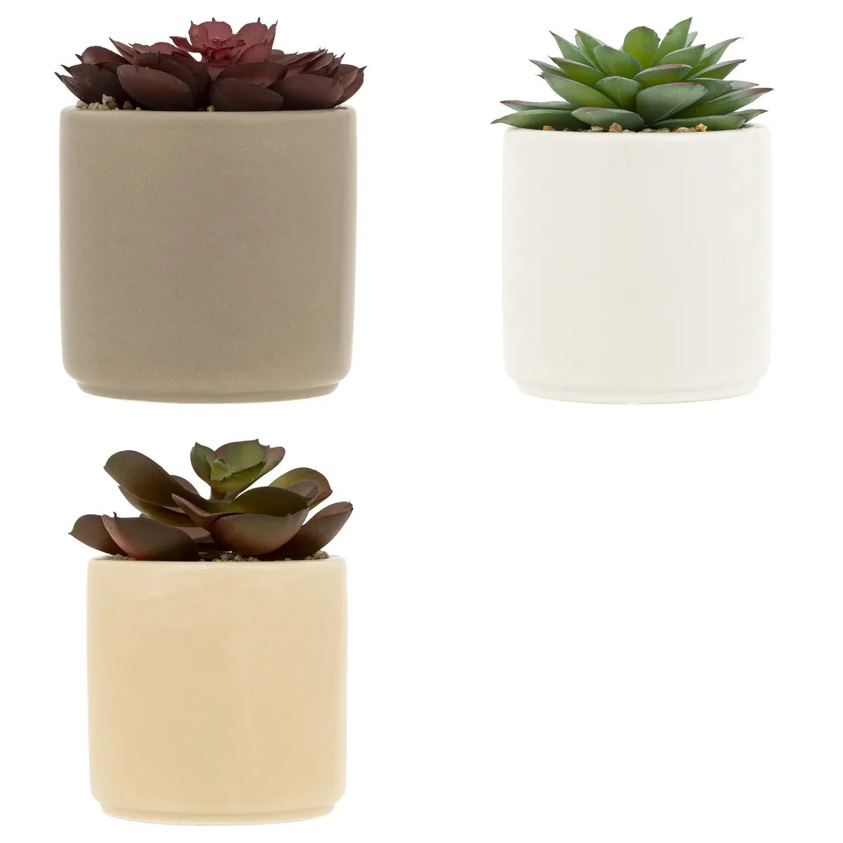 Изкуствено растение atmosphera Nils, 12 cm, Различни видове