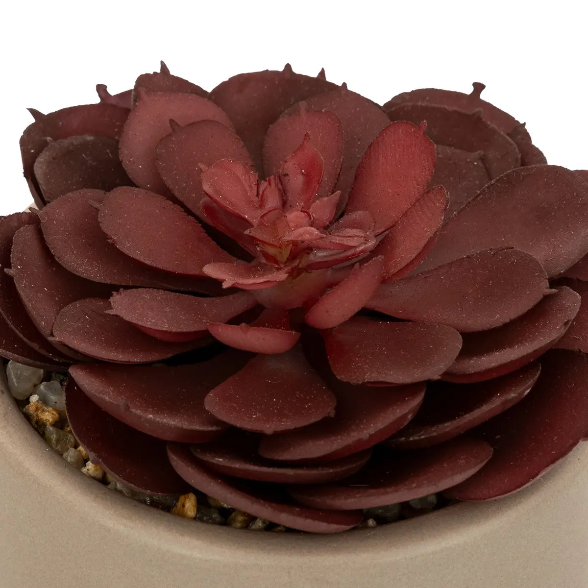 Изкуствено растение atmosphera Nils, 12 cm, Различни видове