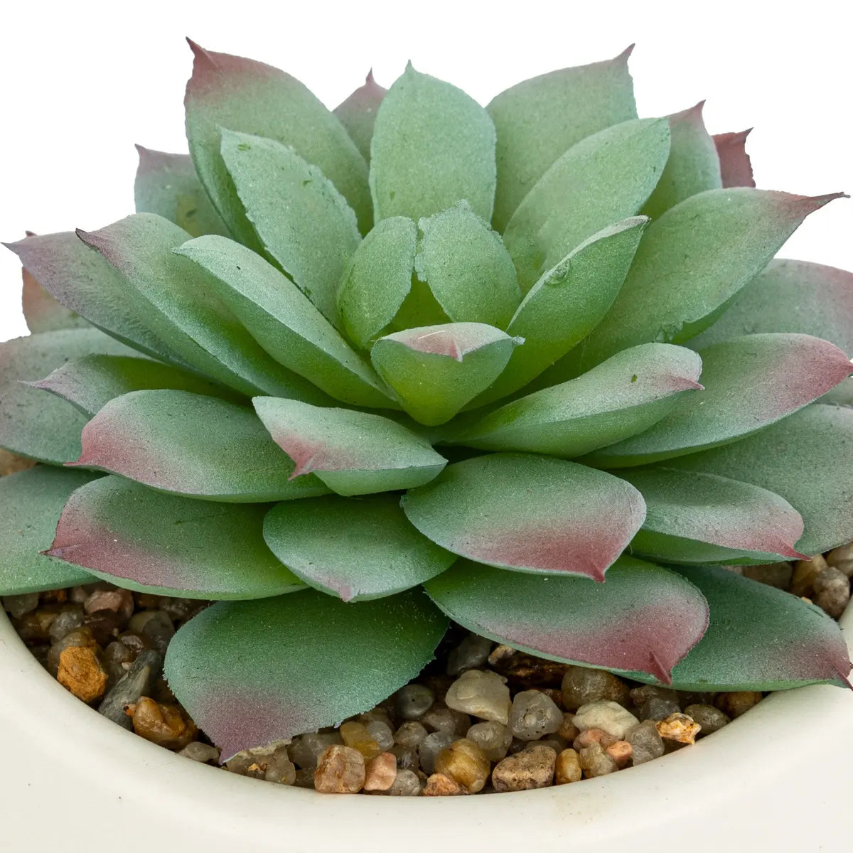 Изкуствено растение atmosphera Nils, 12 cm, Различни видове