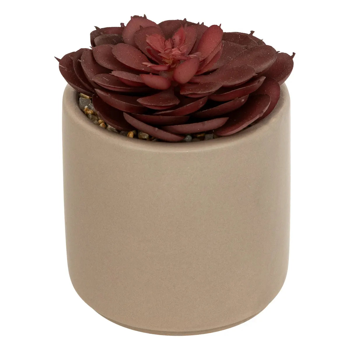 Изкуствено растение atmosphera Nils, 12 cm, Различни видове