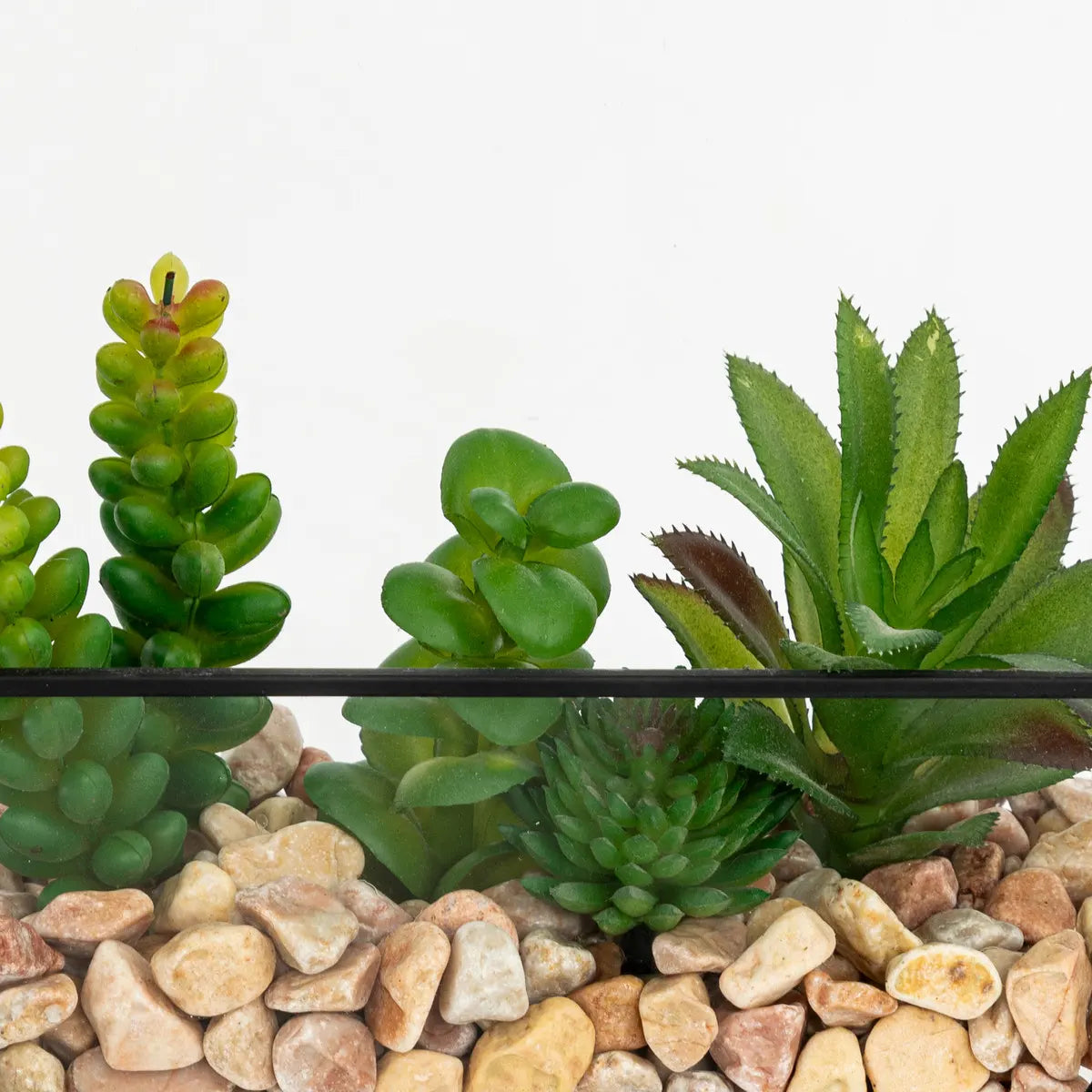 Изкуствено растение atmosphera Pia Terrarium, 20 cm