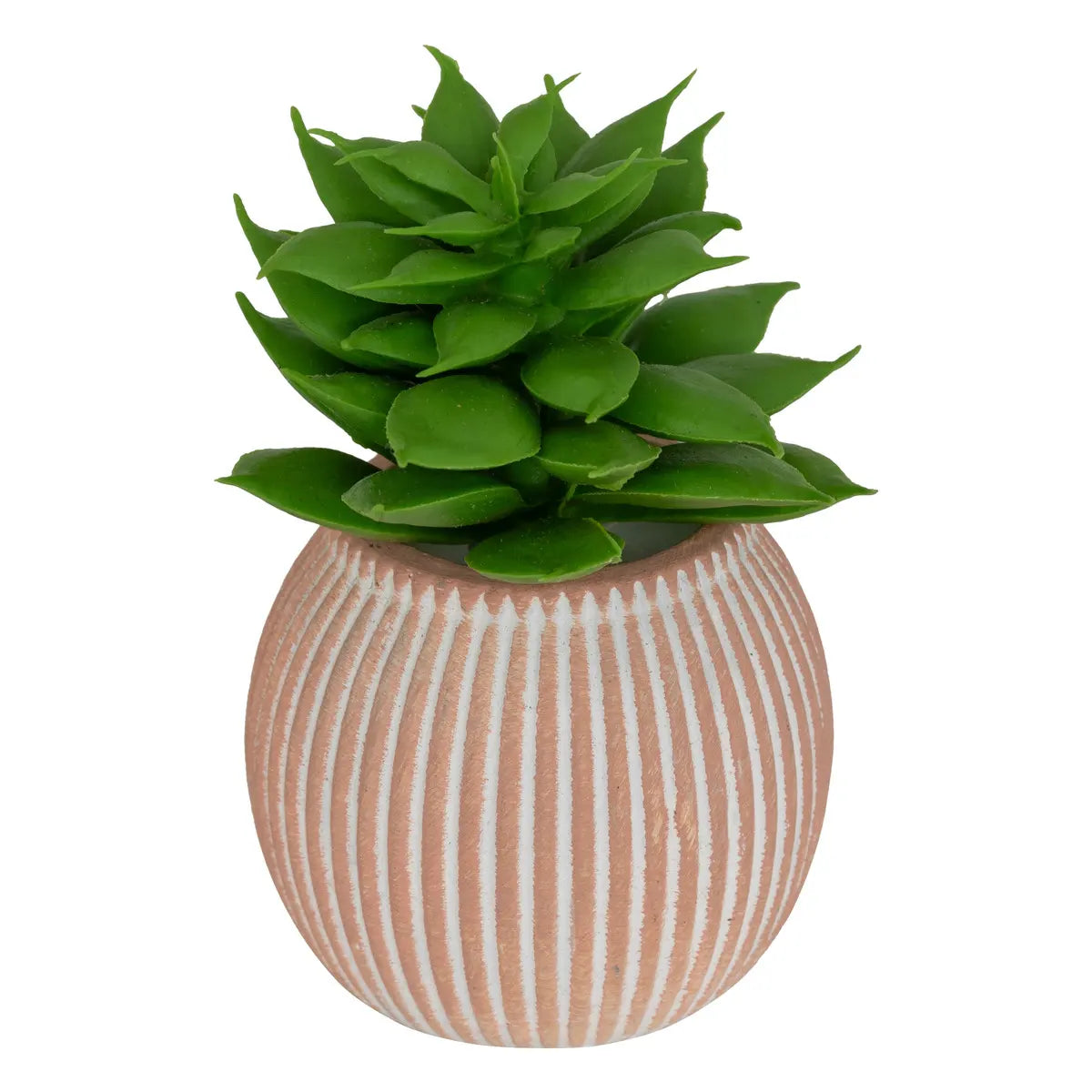 Изкуствено растение atmosphera Ubi Succulent, 7 cm, Различни видове