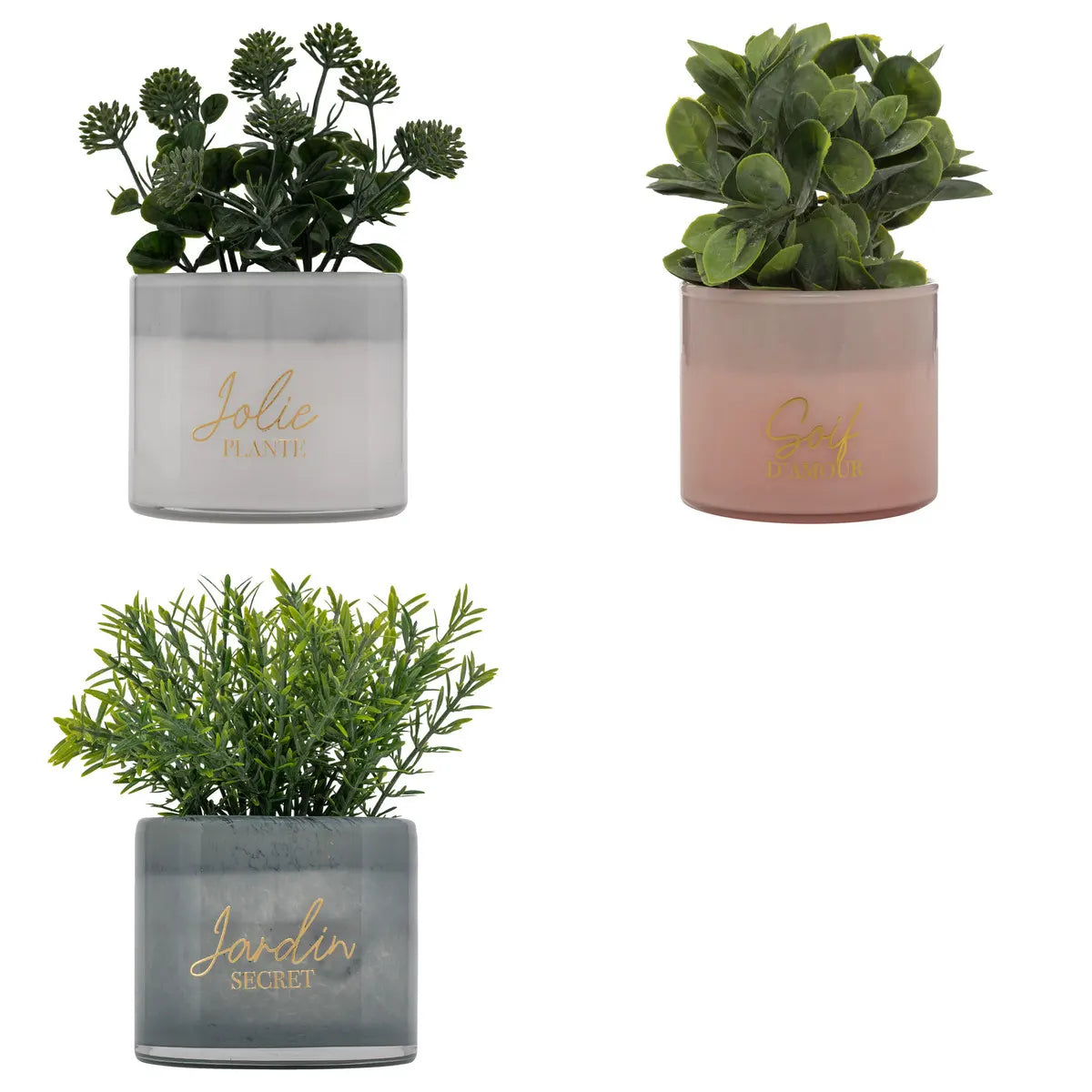 Изкуствено растение atmosphera Tayli Succulent, 18 cm, Различни видове