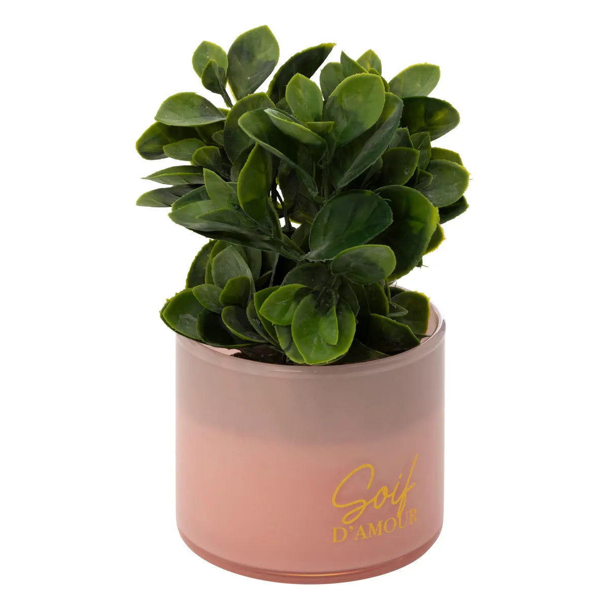 Изкуствено растение atmosphera Tayli Succulent, 18 cm, Различни видове