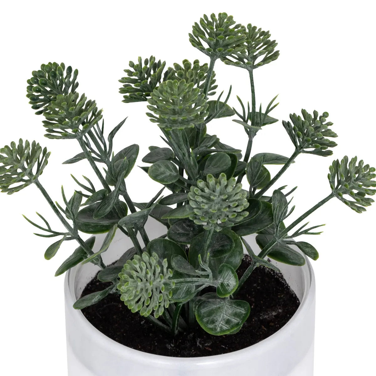 Изкуствено растение atmosphera Tayli Succulent, 18 cm, Различни видове