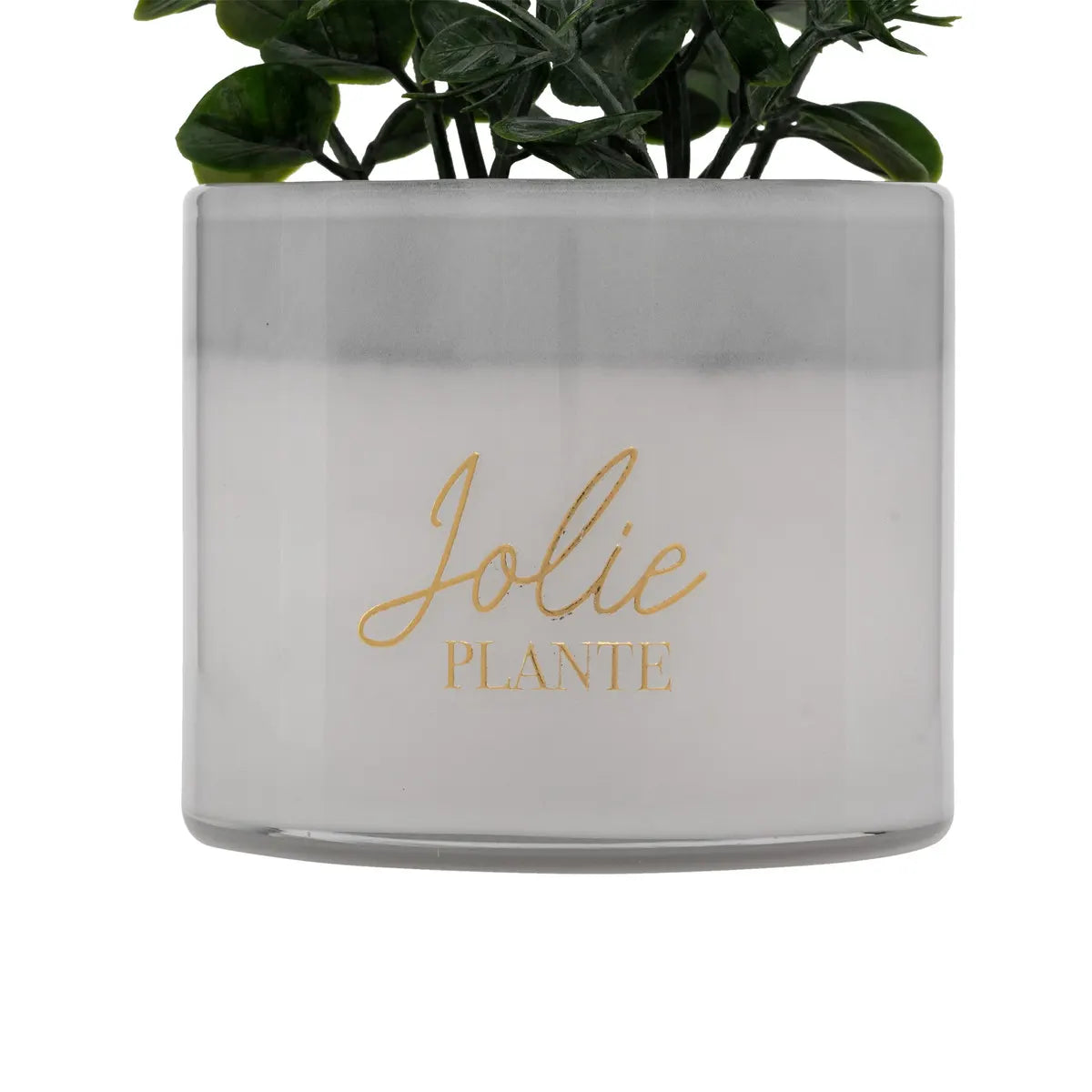 Изкуствено растение atmosphera Tayli Succulent, 18 cm, Различни видове