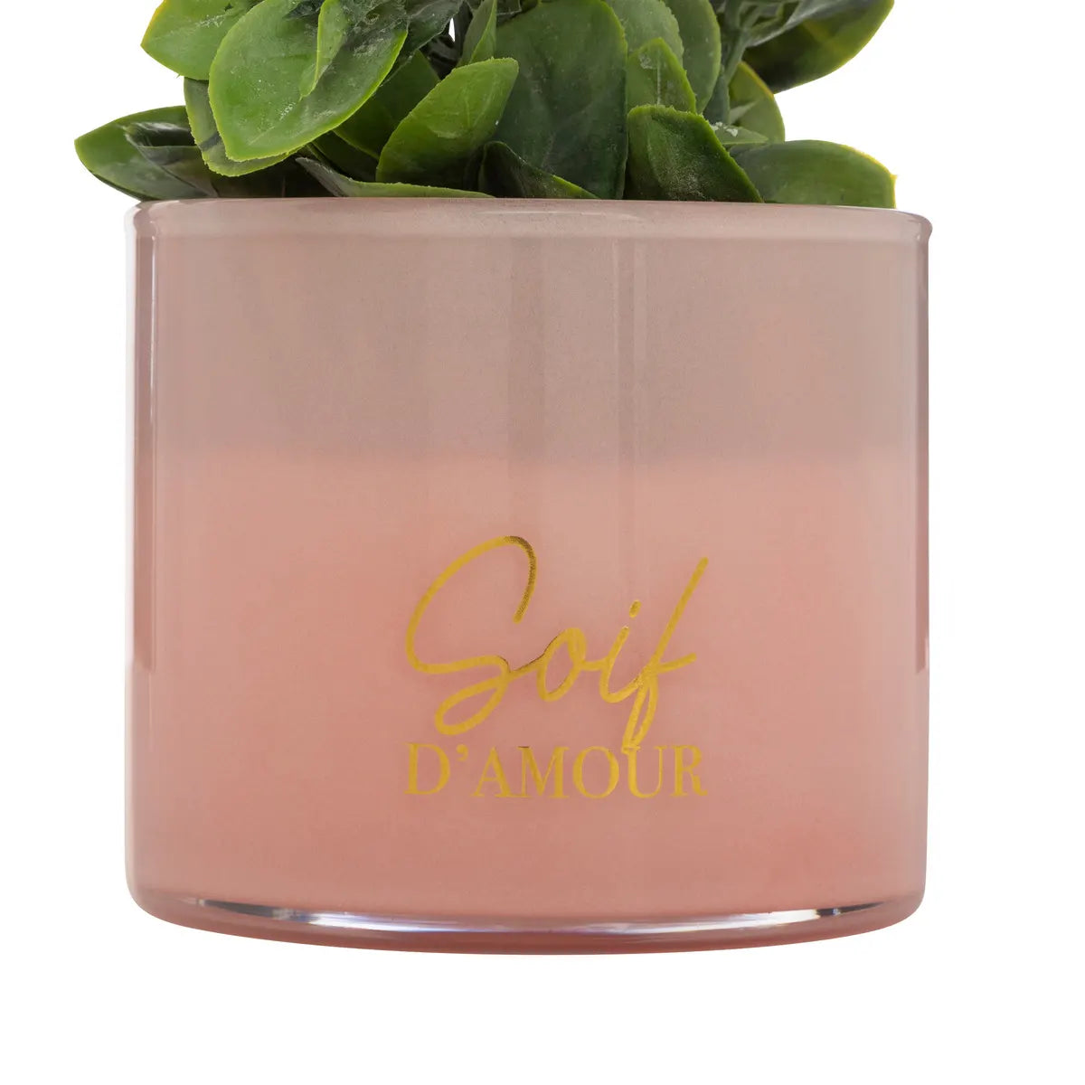 Изкуствено растение atmosphera Tayli Succulent, 18 cm, Различни видове