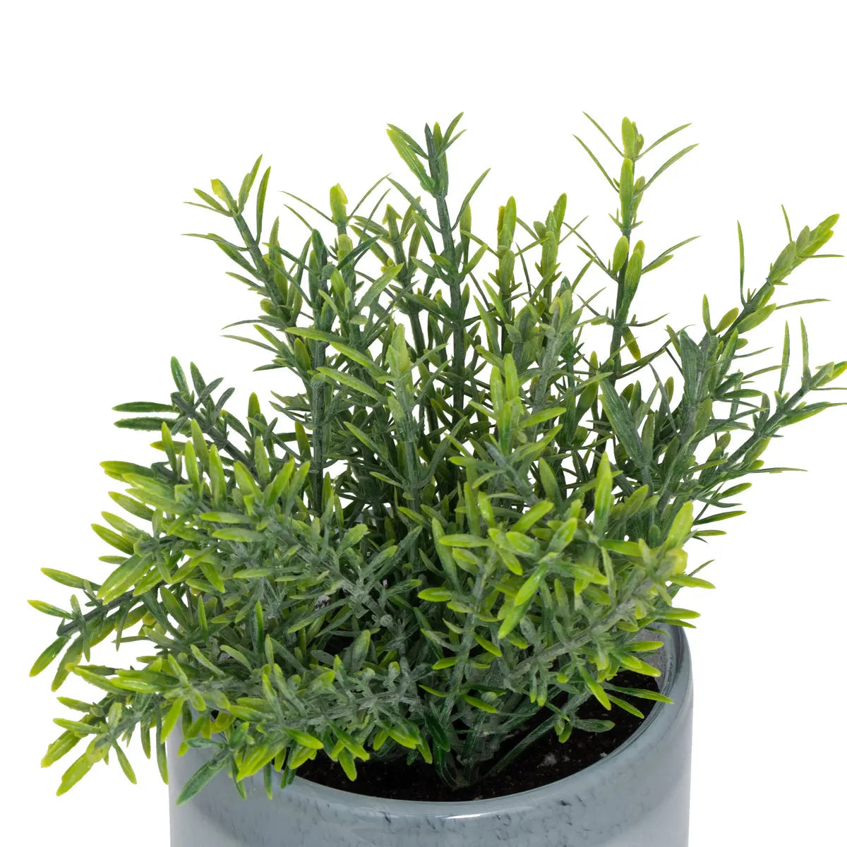 Изкуствено растение atmosphera Tayli Succulent, 18 cm, Различни видове