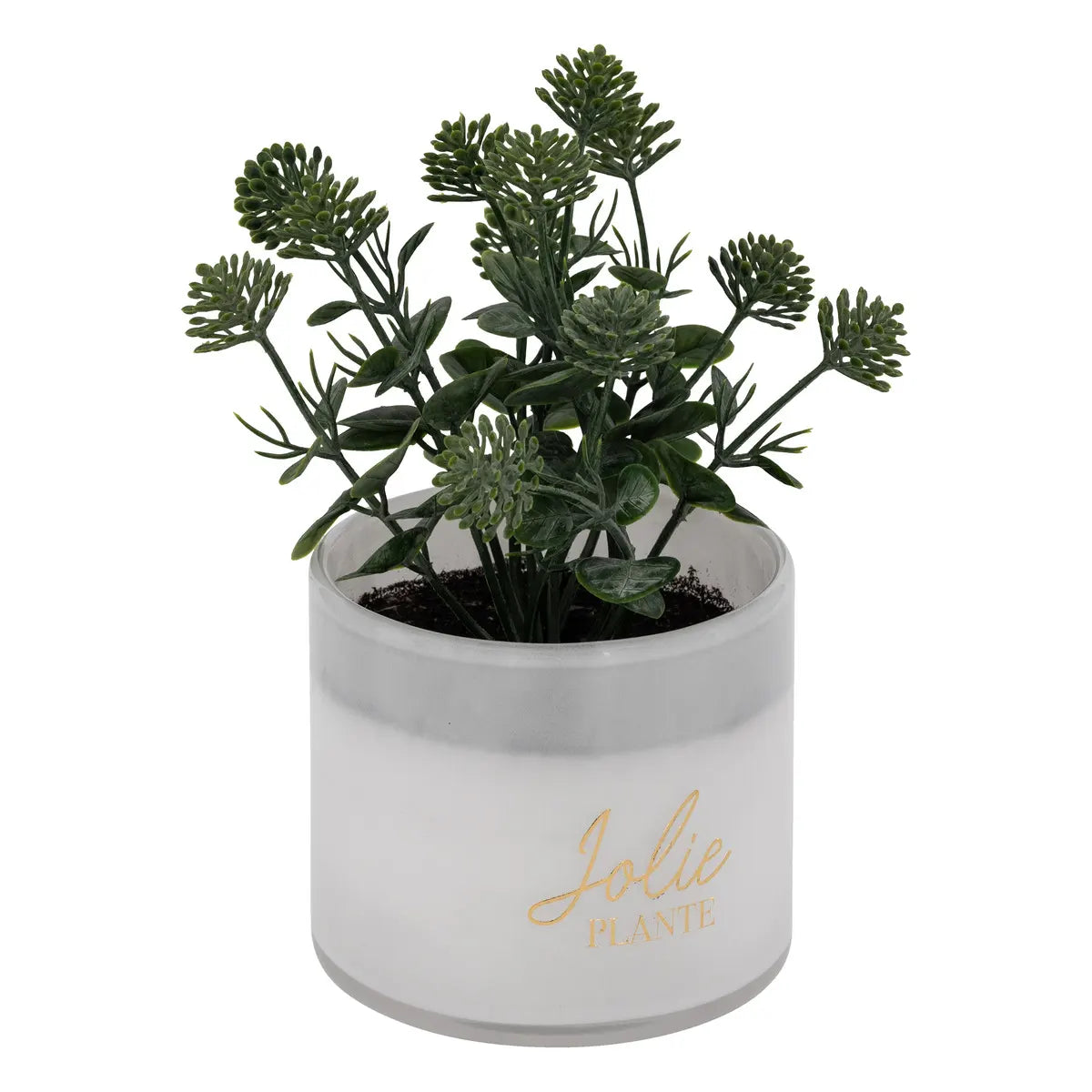 Изкуствено растение atmosphera Tayli Succulent, 18 cm, Различни видове
