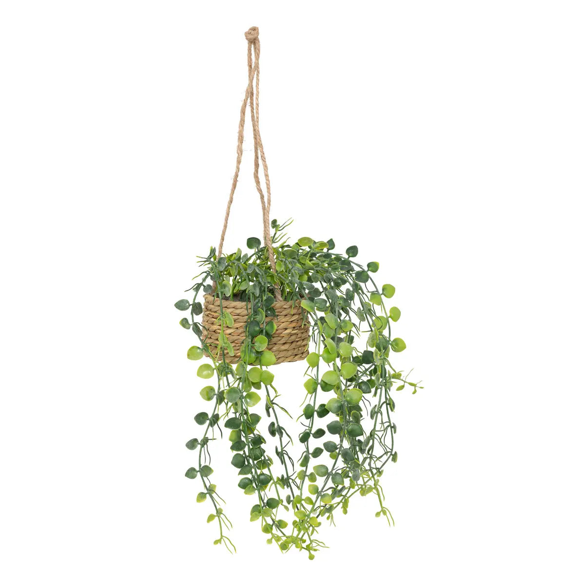 Изкуствено растение atmosphera Patri Hanging, 50 cm, Различни видове