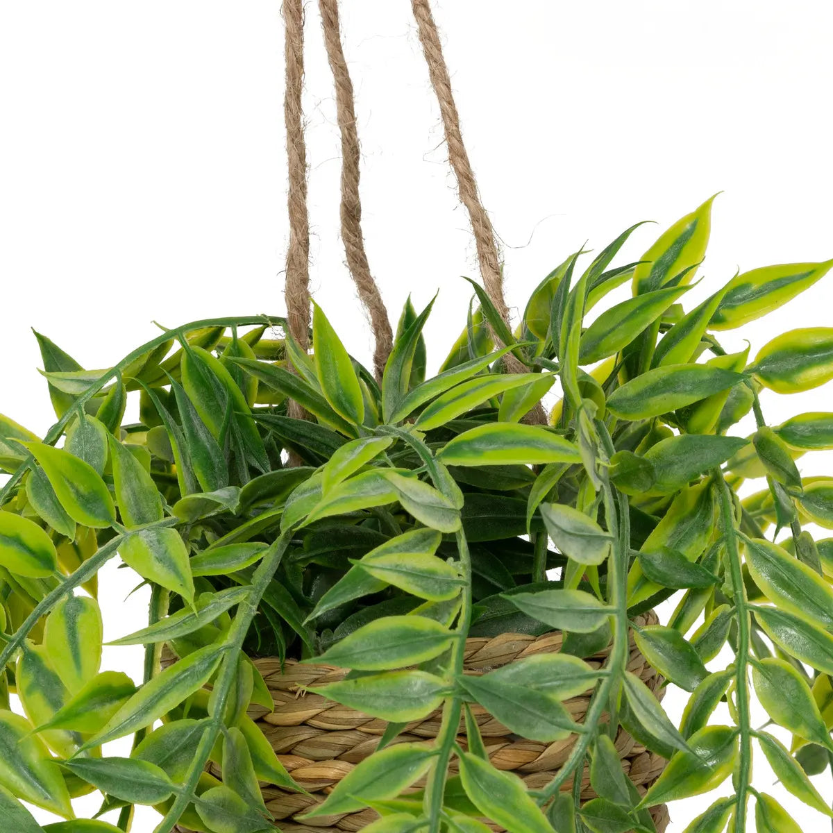 Изкуствено растение atmosphera Patri Hanging, 50 cm, Различни видове