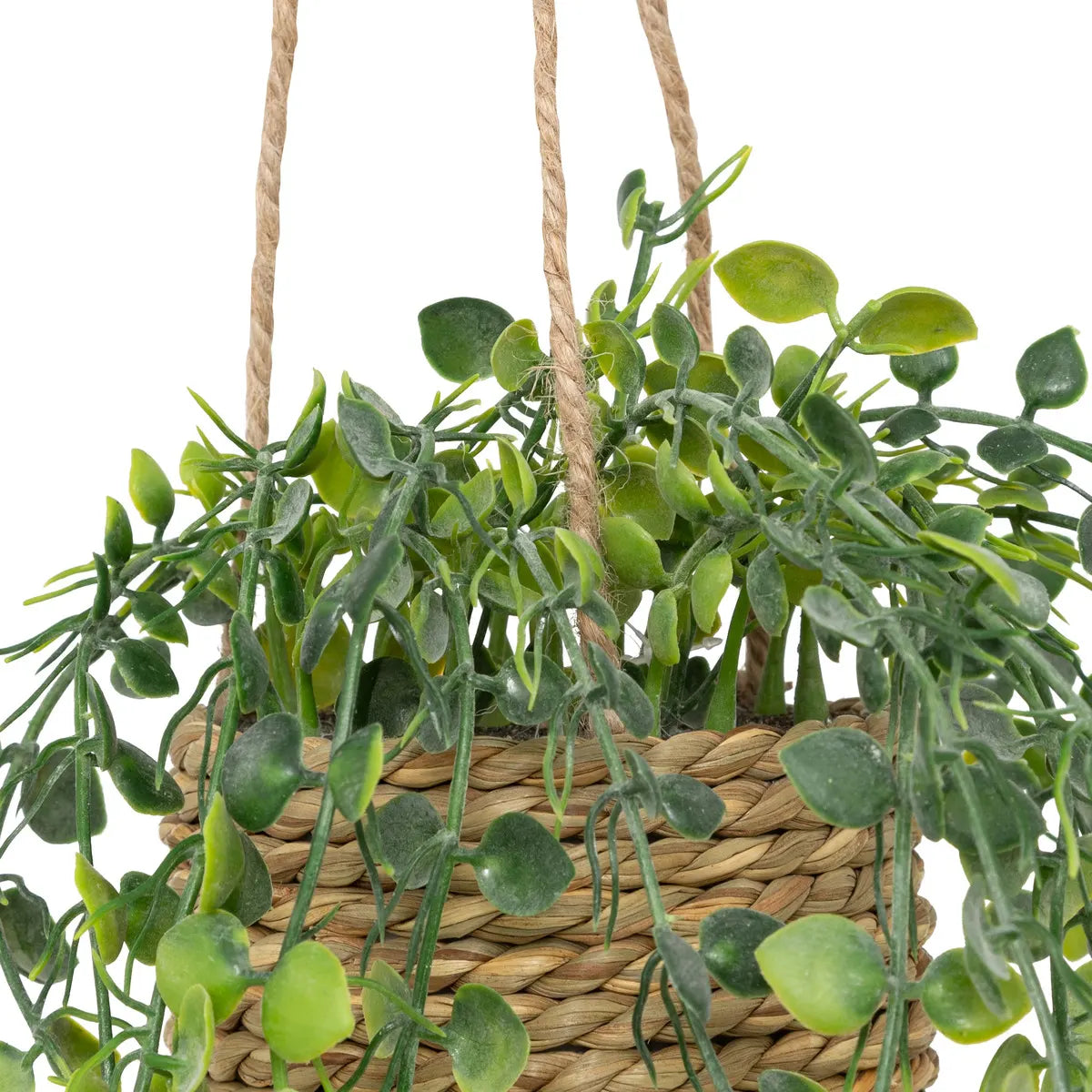 Изкуствено растение atmosphera Patri Hanging, 50 cm, Различни видове