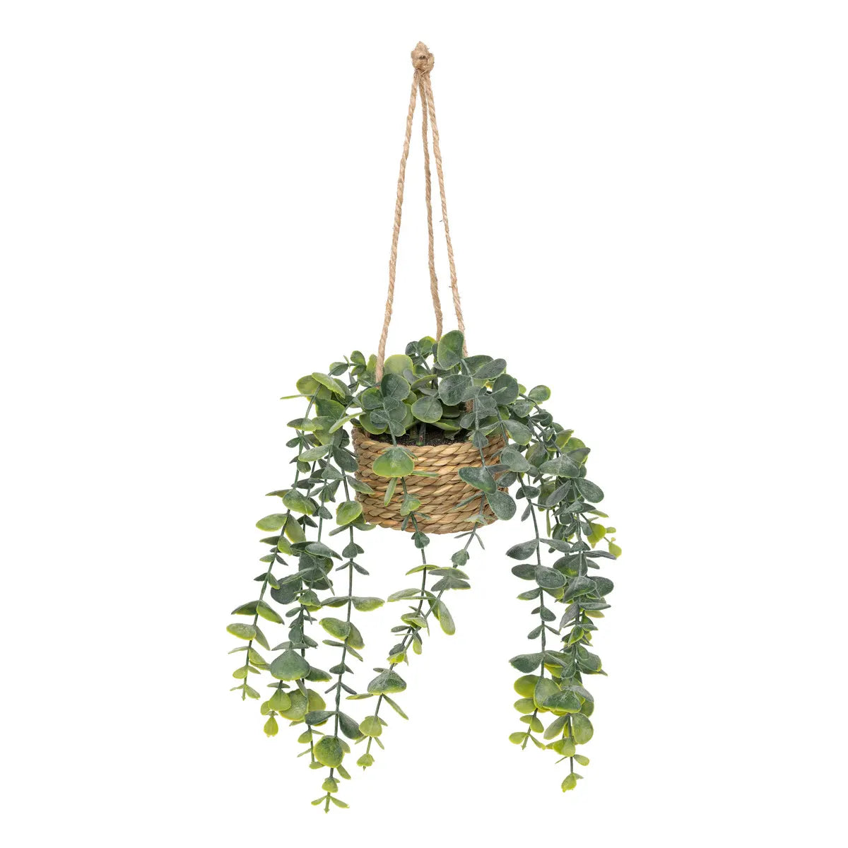 Изкуствено растение atmosphera Patri Hanging, 50 cm, Различни видове