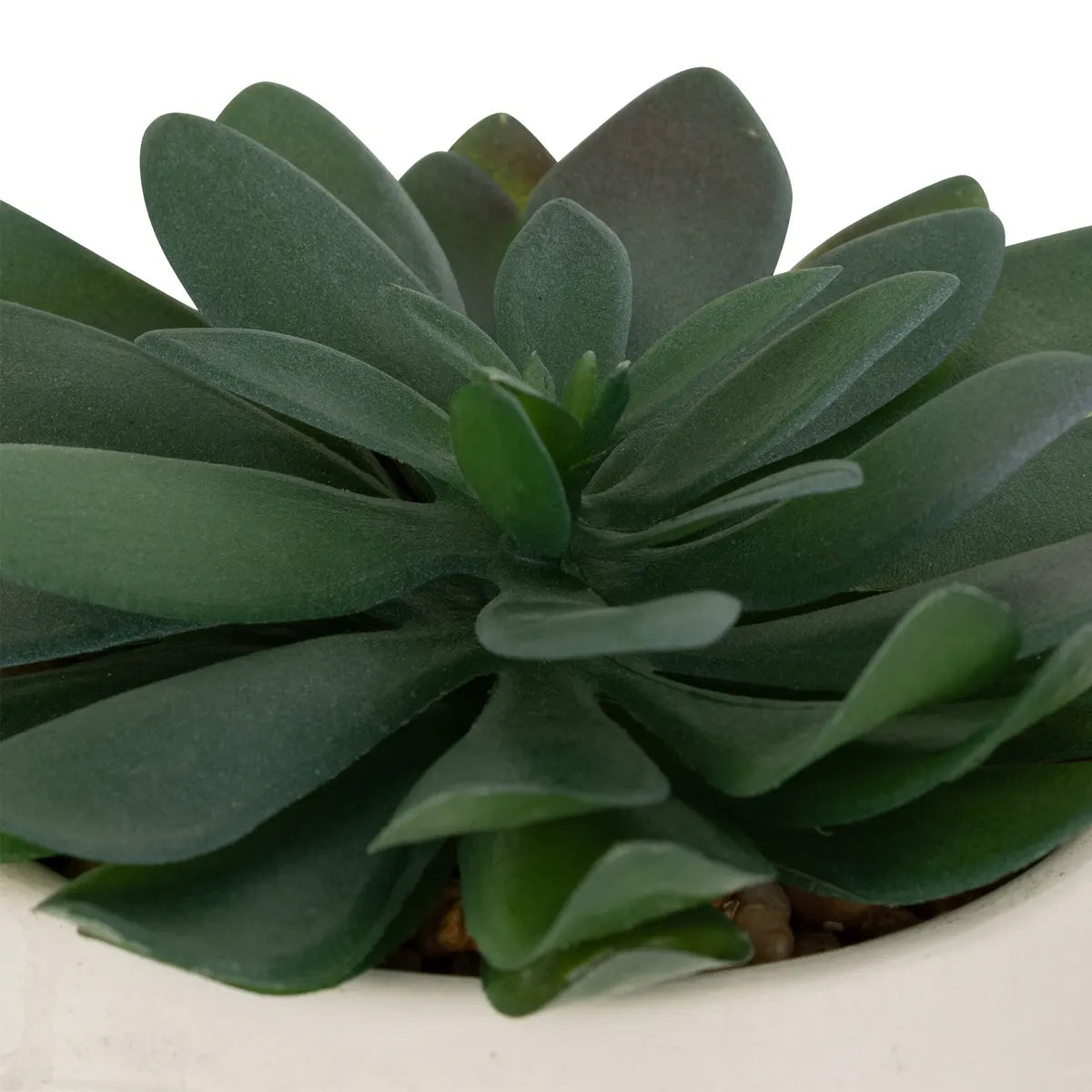 Изкуствено растение atmosphera Dusty Succulent, 22 cm, Различни видове