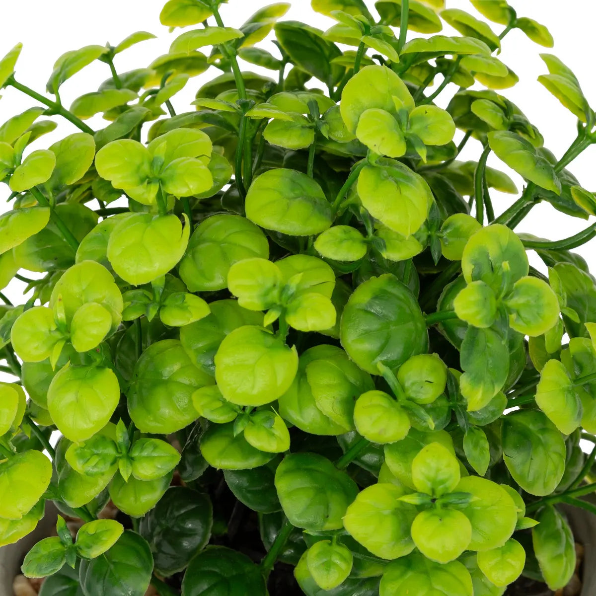 Изкуствено растение atmosphera Dusty Succulent, 22 cm, Различни видове