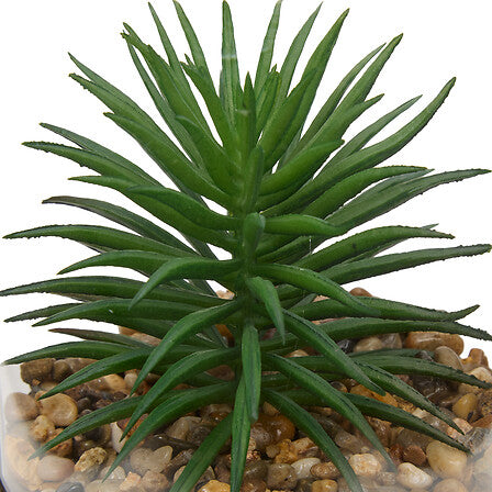 Изкуствено растение atmosphera Wilo Hanging Terrarium, 19 cm, Различни видове