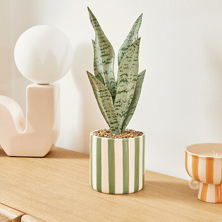 Изкуствено растение atmosphera Sansevieria Chéri, 38 cm