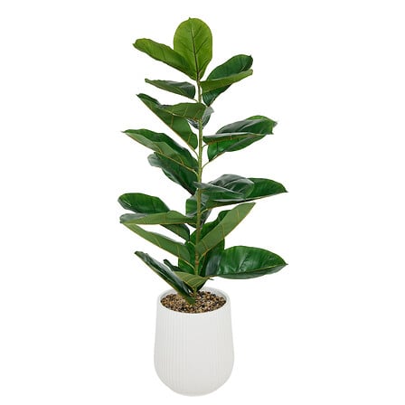 Изкуствено растение atmosphera Ficus Sky, 145 cm