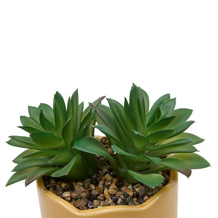 Изкуствено растение atmosphera Chéri, 17 cm, Различни видове