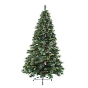 Wyoming tree height 300 cm green