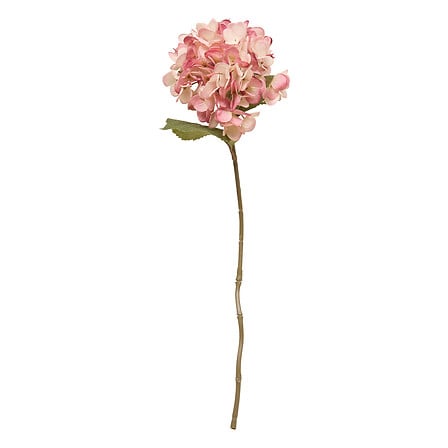Декоративно стъбло хортензия atmosphera Fria, Асорти, 62 cm