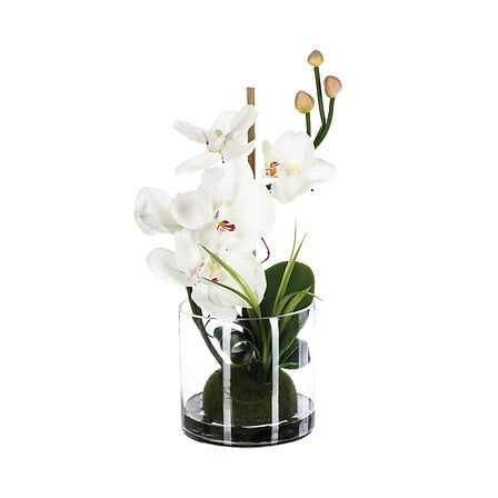 Аранжировка с орхидея atmosphera, Стъклена ваза, 35 cm