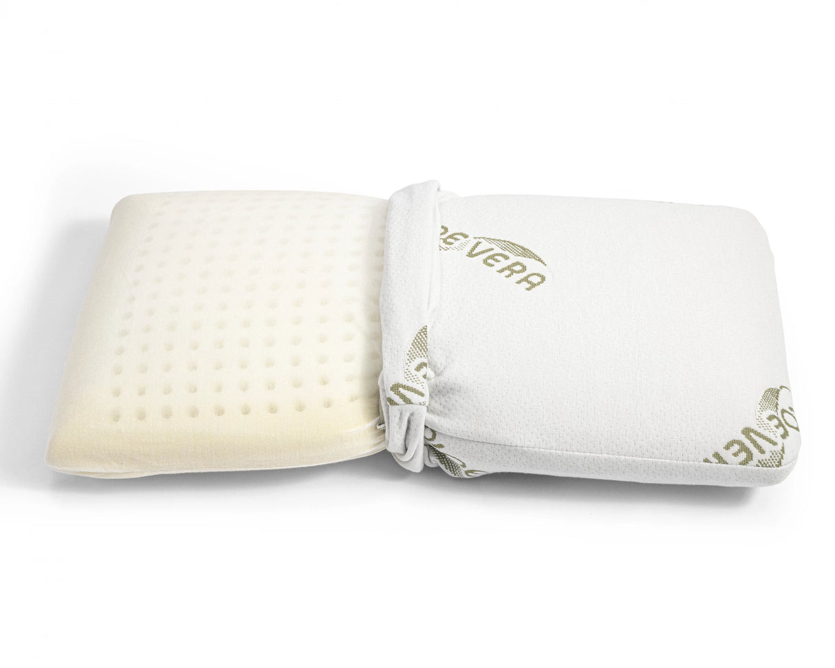 Dreamhouse Aloe Vera pillow, 70 x 40 cm