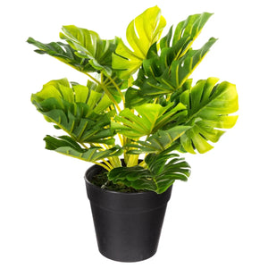 Изкуствено растение atmosphera, 30 cm, Различни видове
