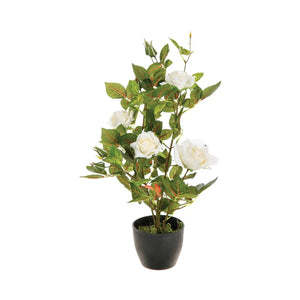 Изкуствено растение atmosphera Roses, 50 cm, Различни видове