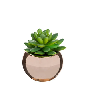 Изкуствено растение atmosphera, 15 cm, Различни видове