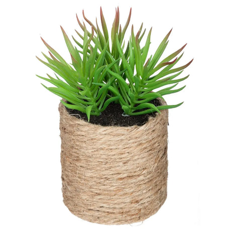 Изкуствено растение atmosphera, 16 cm, Различни видове