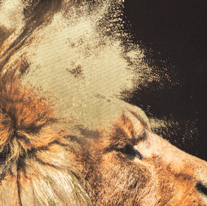 Картина atmosphera Lion, 60x90 cm