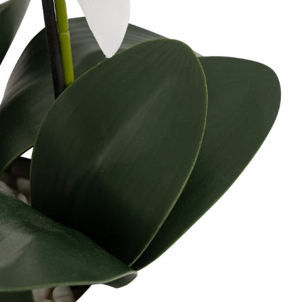 Изкуствено растение atmosphera Mick Orchid, 80 cm