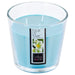Ароматна свещ atmosphera Nina, Стъкло, 500 g