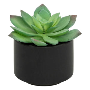 Изкуствено растение atmosphera Succulent, 13 cm, Различни видове
