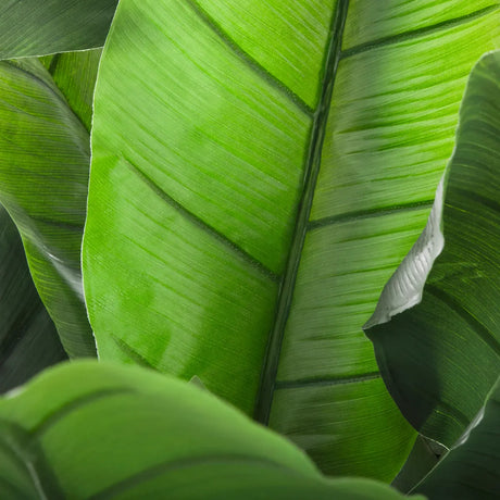 Изкуствено растение atmosphera Banana Tree, 170 cm
