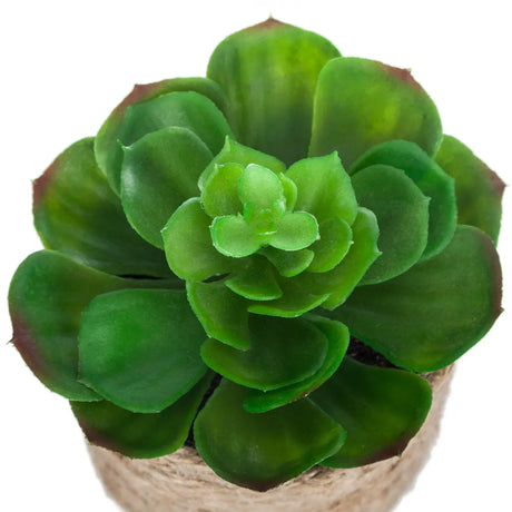 Изкуствено растение atmosphera, 16 cm, Различни видове