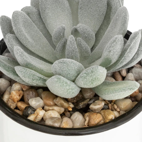 Изкуствено растение atmosphera, 10.5 cm, Различни видове