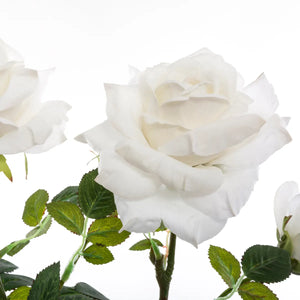 Изкуствено растение atmosphera Rosebush, 74 cm, Различни видове