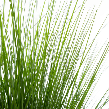Изкуствено растение atmosphera Grasses, 74 cm